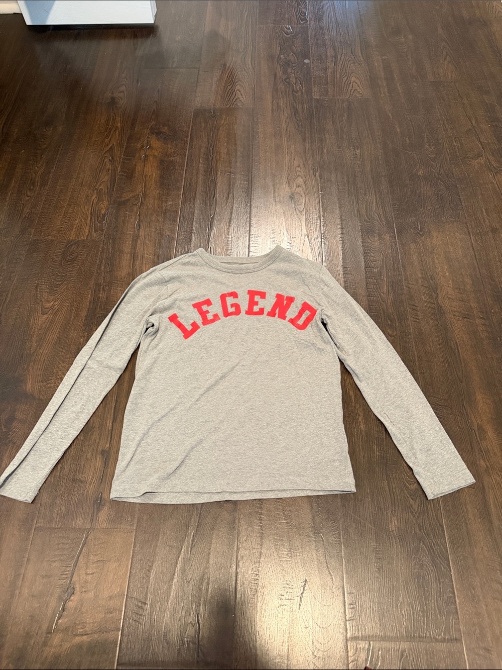 J Crew Crewcuts Gray Long Sleeve Tee with Red Graphic